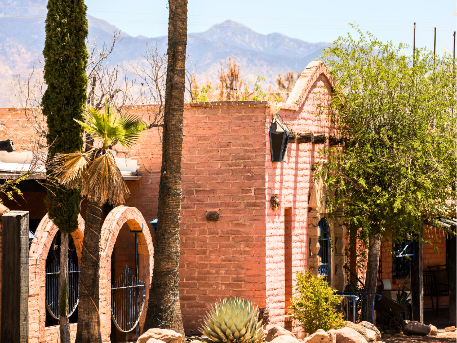 Picture of Desert Melodies: Intro to Birding and Hiking in Arizona
