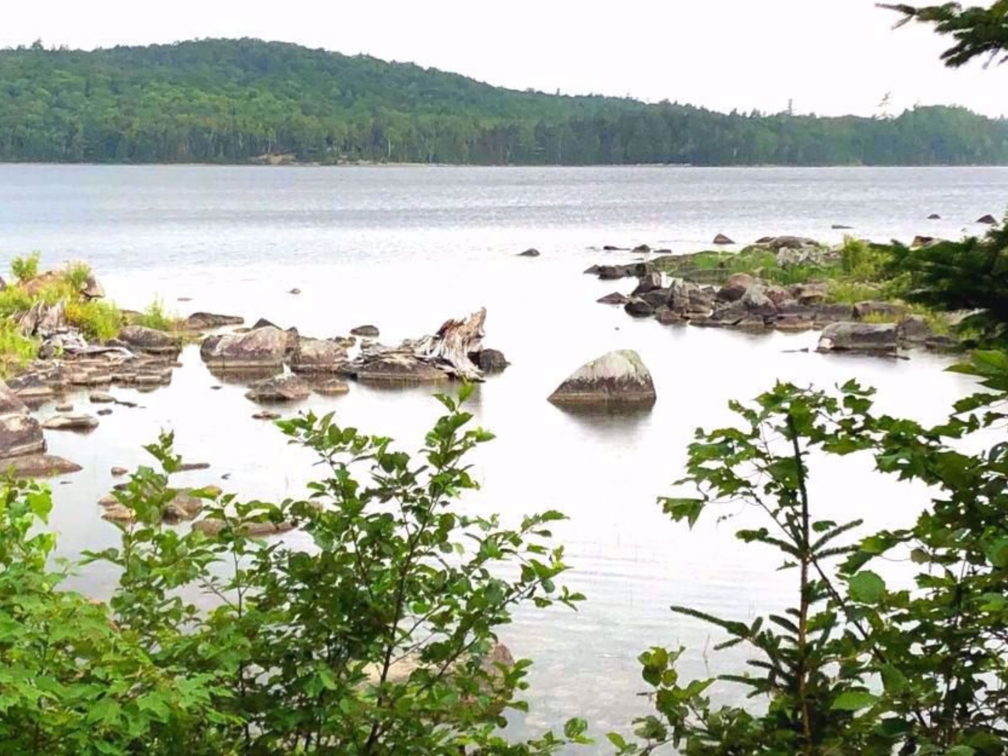 Picture of Writing and Renewal in Maine's North Woods Picture of Writing and Renewal in Maine's North Woods