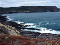 Picture of Hiking Newfoundland’s East Coast Trail Picture of Hiking Newfoundland’s East Coast Trail