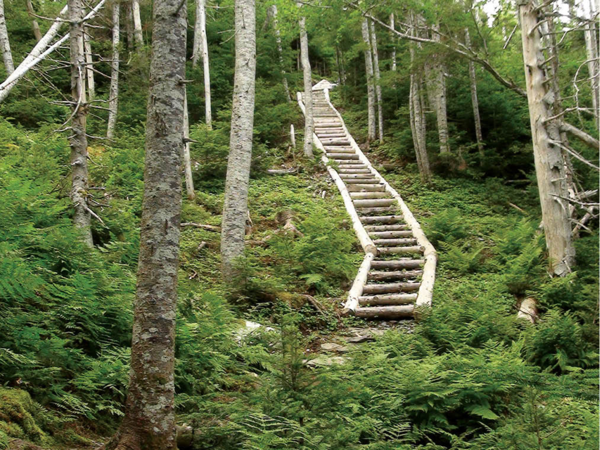 Picture of Hiking Newfoundland’s East Coast Trail Picture of Hiking Newfoundland’s East Coast Trail