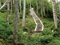 Picture of Hiking Newfoundland’s East Coast Trail Picture of Hiking Newfoundland’s East Coast Trail