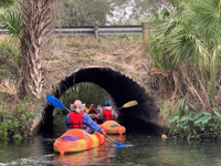 Picture of Paddling with Manatees