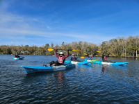 Picture of Paddling with Manatees