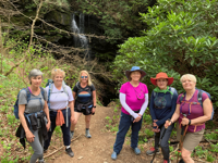 Picture of Wildflowers & Waterfalls: Exploring the Great Smokies Picture of Wildflowers & Waterfalls: Exploring the Great Smokies