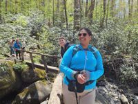 Picture of Wildflowers & Waterfalls: Exploring the Great Smokies Picture of Wildflowers & Waterfalls: Exploring the Great Smokies