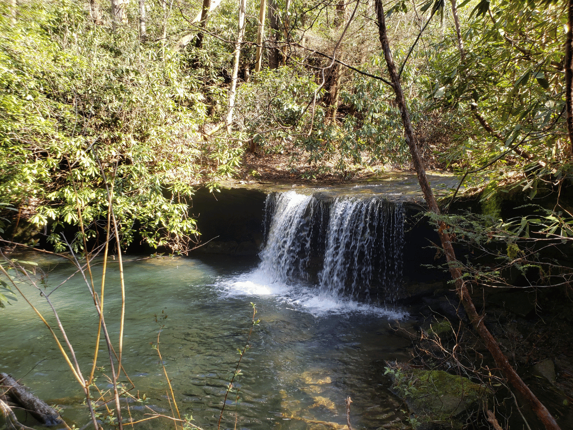 Picture of Exploring the Big South Fork