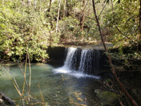Picture of Exploring the Big South Fork