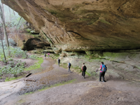 Picture of Exploring the Big South Fork