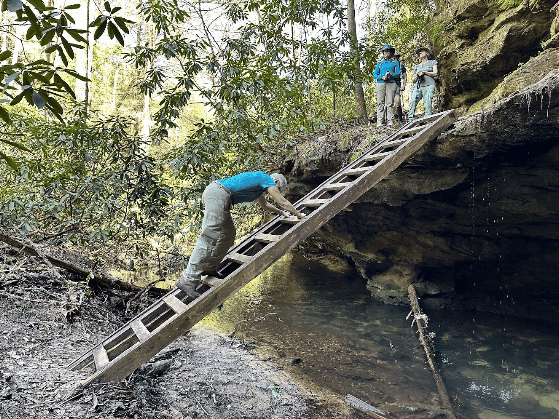 Picture of Exploring the Big South Fork
