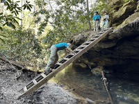 Picture of Exploring the Big South Fork