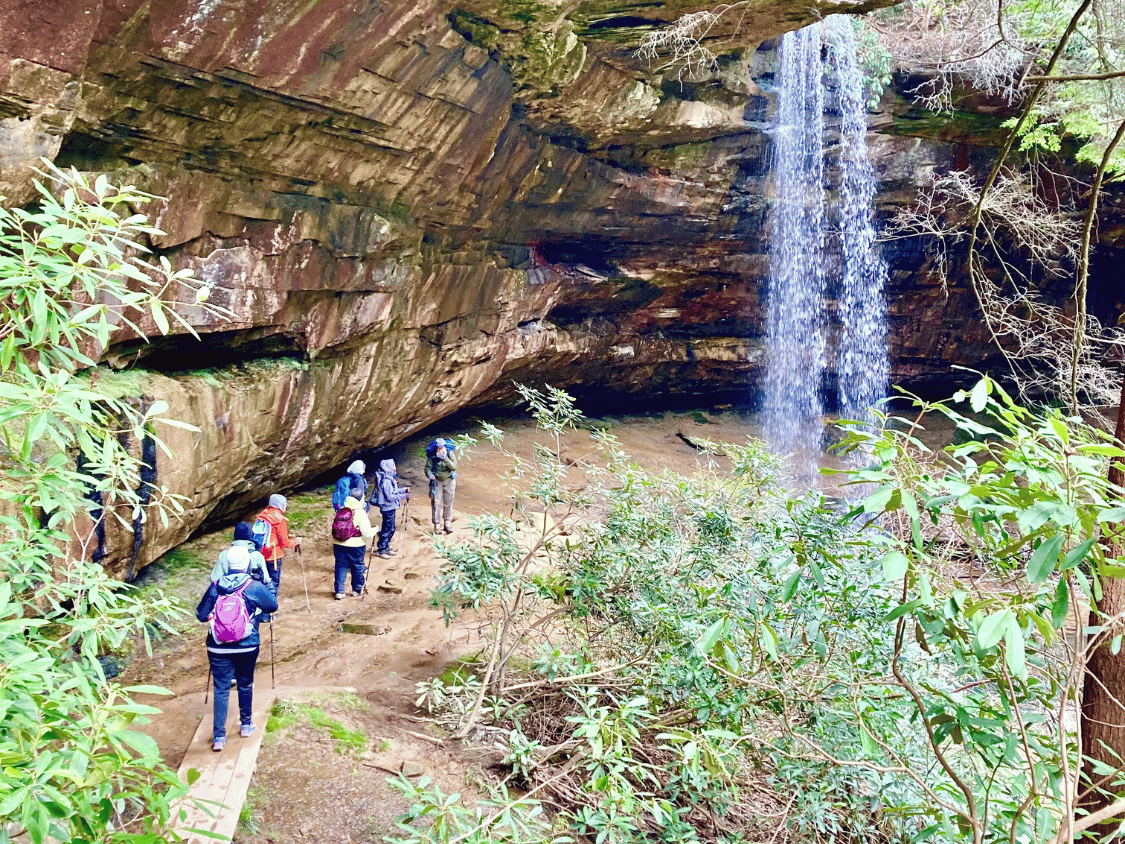 Picture of Exploring the Big South Fork