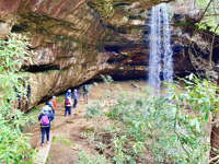 Picture of Exploring the Big South Fork