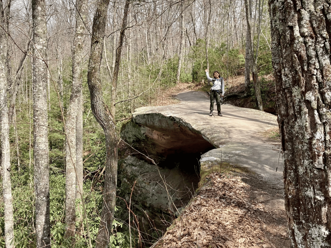 Picture of Exploring the Big South Fork