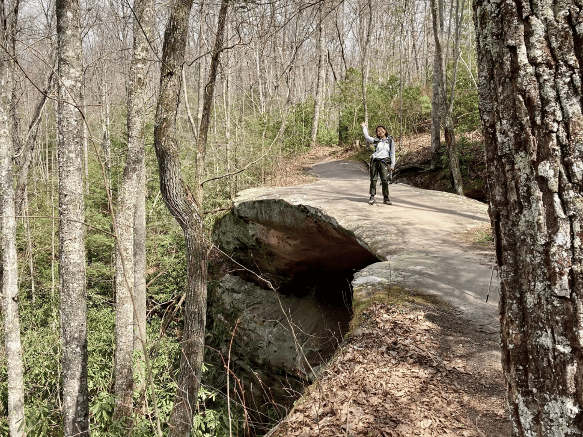 Picture of Exploring the Big South Fork