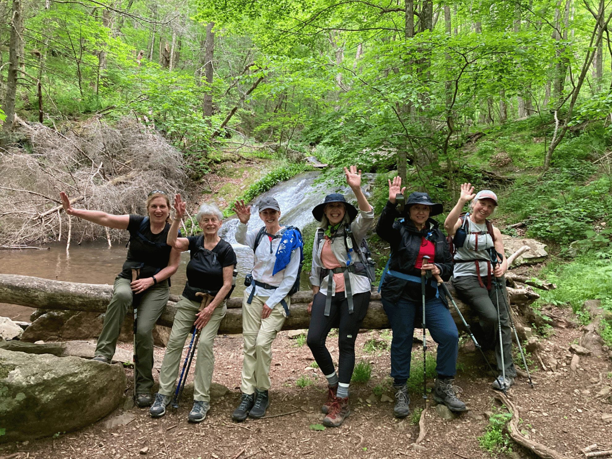 Picture of Hiking through History in Shenandoah National Park Picture of Hiking through History in Shenandoah National Park