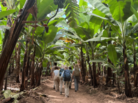 Picture of Tanzania Journey: Ngorongoro Highlands Trek and Great Migration Picture of Tanzania Journey: Ngorongoro Highlands Trek and Great Migration