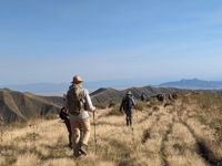 Picture of Tanzania Journey: Ngorongoro Highlands Trek and Great Migration Picture of Tanzania Journey: Ngorongoro Highlands Trek and Great Migration