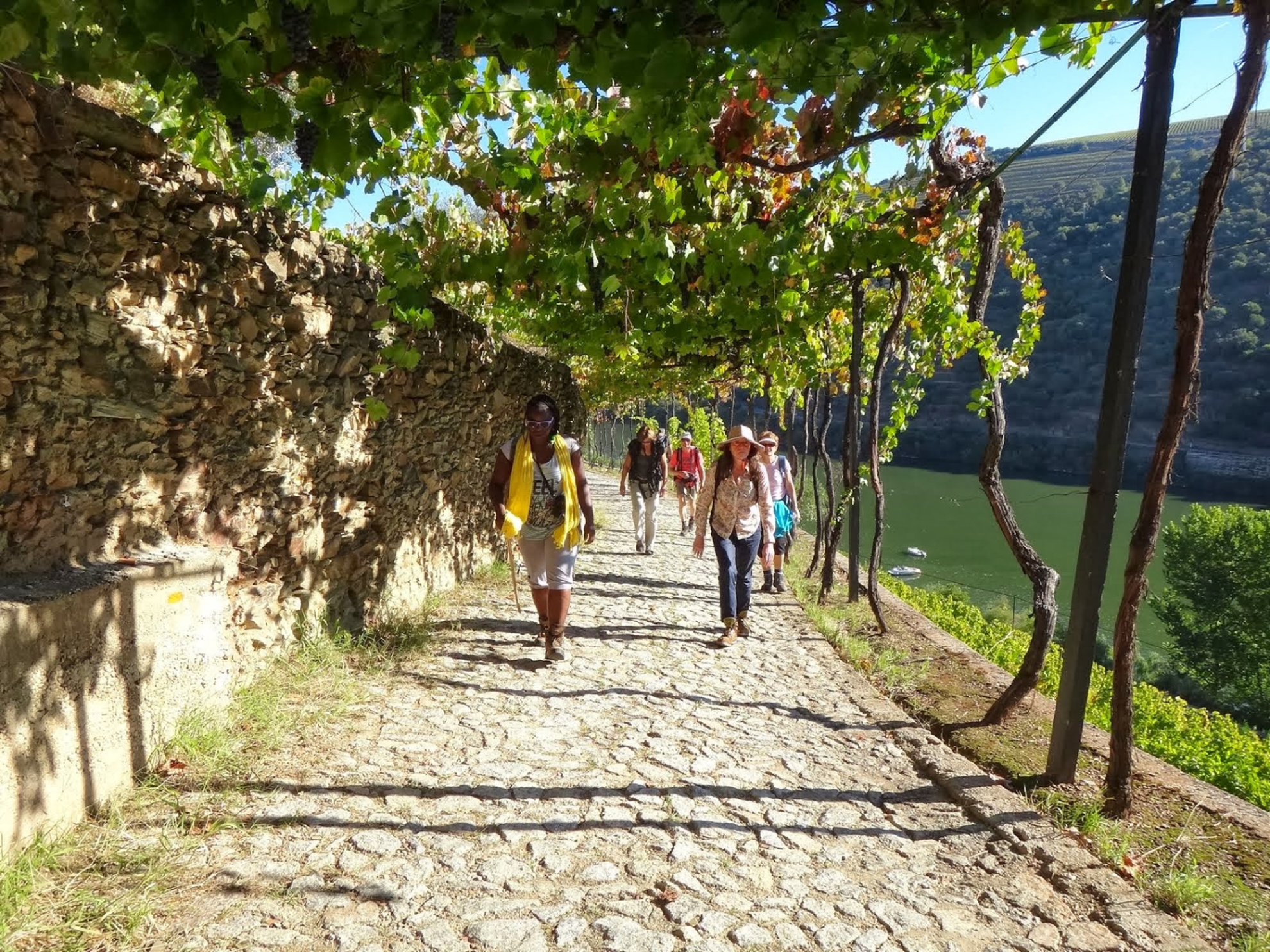 Picture of Portugal: Porto & the Douro Valley Picture of Portugal: Porto & the Douro Valley
