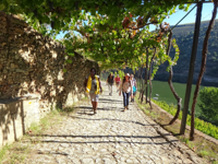 Picture of Portugal: Porto & the Douro Valley Picture of Portugal: Porto & the Douro Valley