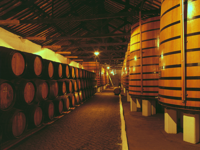 Picture of Portugal: Porto & the Douro Valley Picture of Portugal: Porto & the Douro Valley