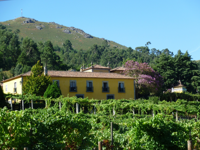 Picture of Portugal: Porto & the Douro Valley Picture of Portugal: Porto & the Douro Valley