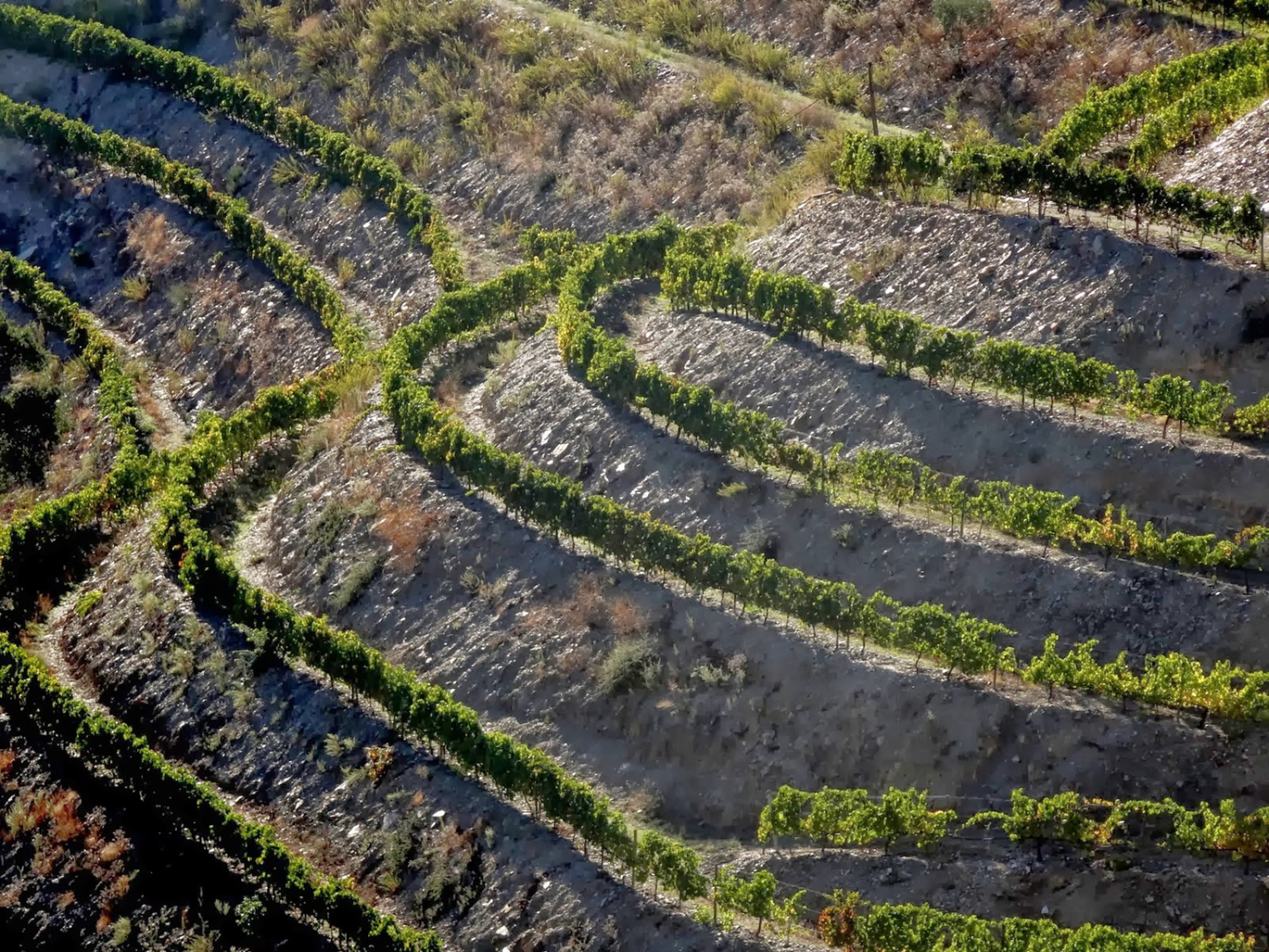 Picture of Portugal: Porto & the Douro Valley Picture of Portugal: Porto & the Douro Valley