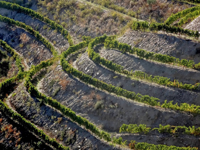 Picture of Portugal: Porto & the Douro Valley Picture of Portugal: Porto & the Douro Valley