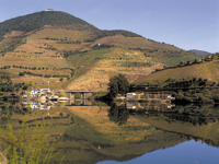 Picture of Portugal: Porto & the Douro Valley Picture of Portugal: Porto & the Douro Valley