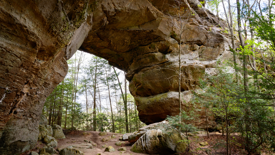 Exploring the Big South Fork