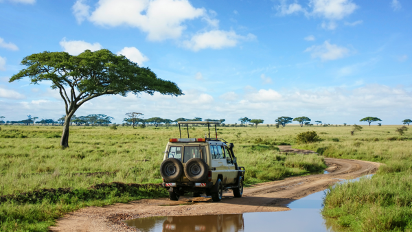 Tanzania Journey: Ngorongoro Highlands Trek and Wildlife Safari