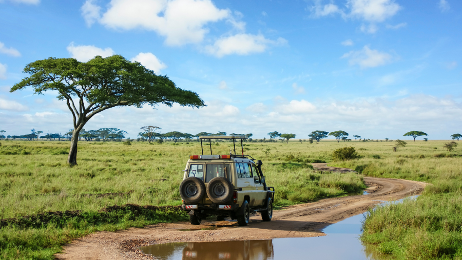 Tanzania Journey: Ngorongoro Highlands Trek and Wildlife Safari