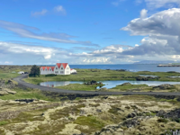 Picture of Iceland's Wild Wonders Picture of Iceland's Wild Wonders