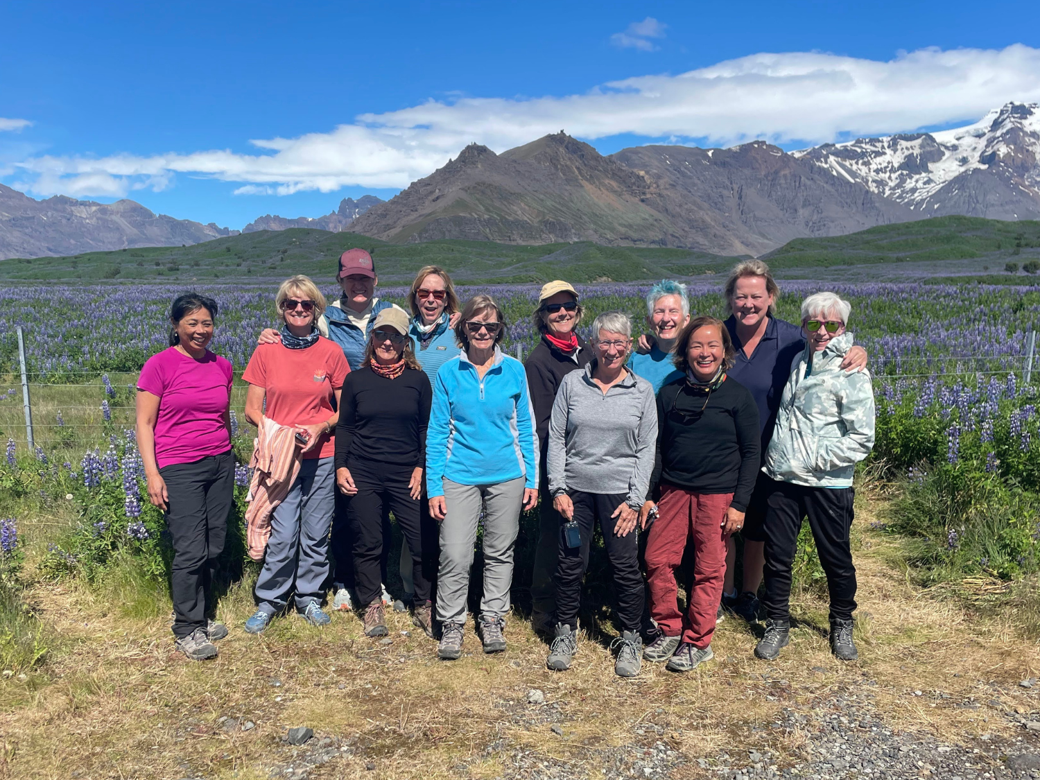 Picture of Iceland's Wild Wonders