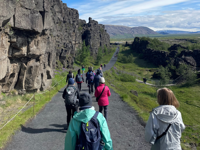 Picture of Iceland's Wild Wonders Picture of Iceland's Wild Wonders