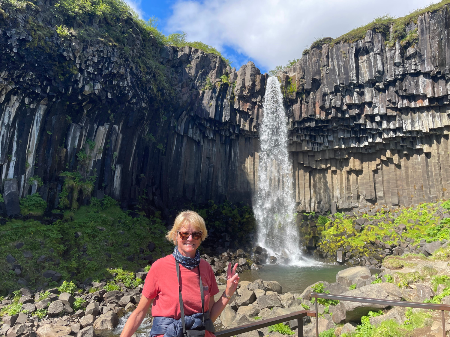Picture of Iceland's Wild Wonders