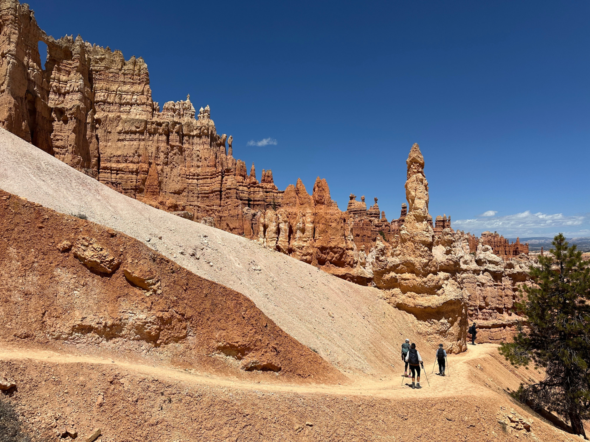 Picture of Hiking Utah's Majestic Parks Picture of Hiking Utah's Majestic Parks