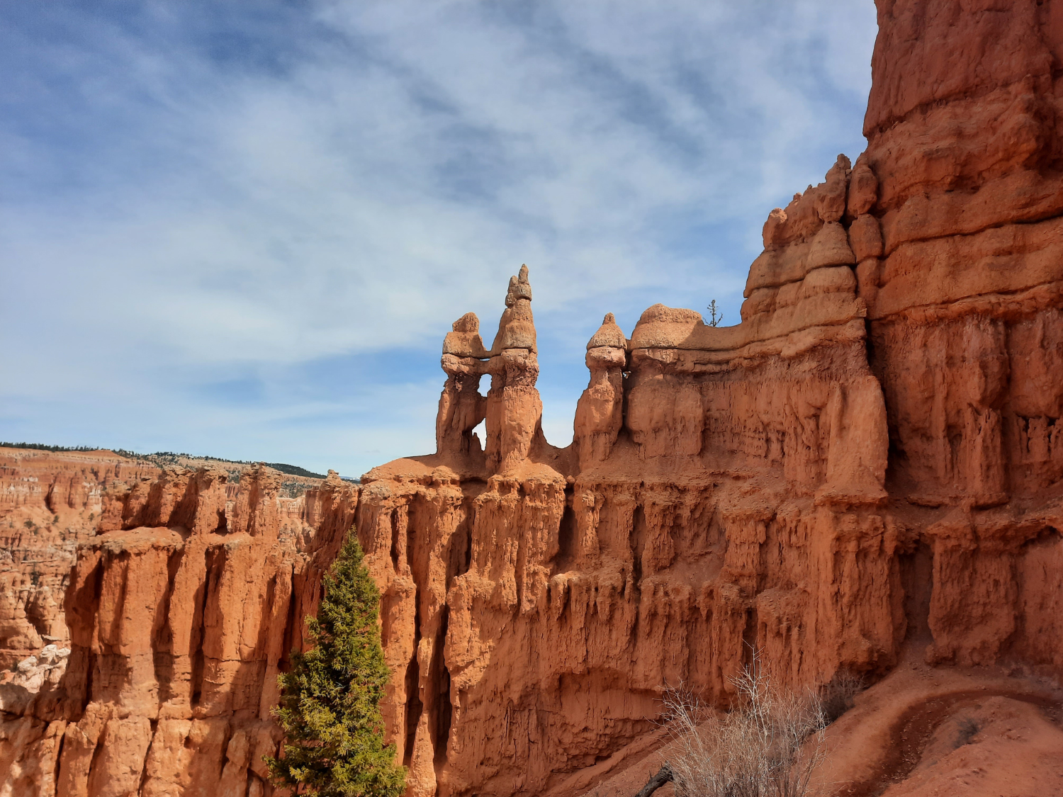 Picture of Hiking Utah's Majestic Parks