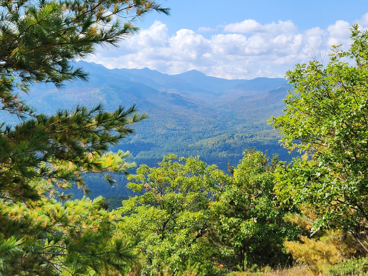 Picture of Adventures in the Adirondacks