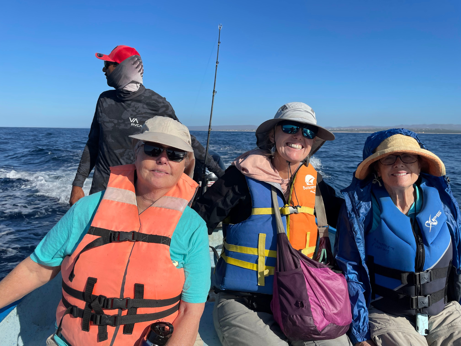 Picture of Baja's Scenic Sierras and Coastal Charms