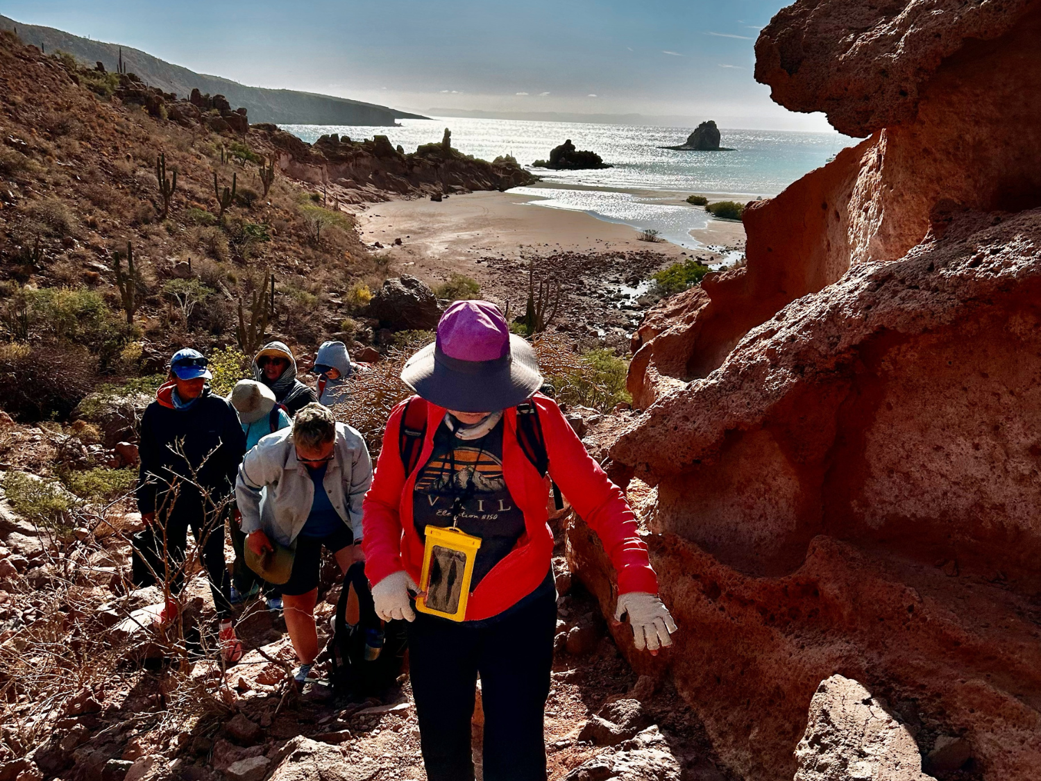 Picture of Baja & Beyond - Camping and Kayaking on the Sea of Cortez