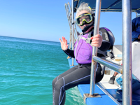 Picture of Baja Unplugged: An Island Escape on the Sea of Cortez
