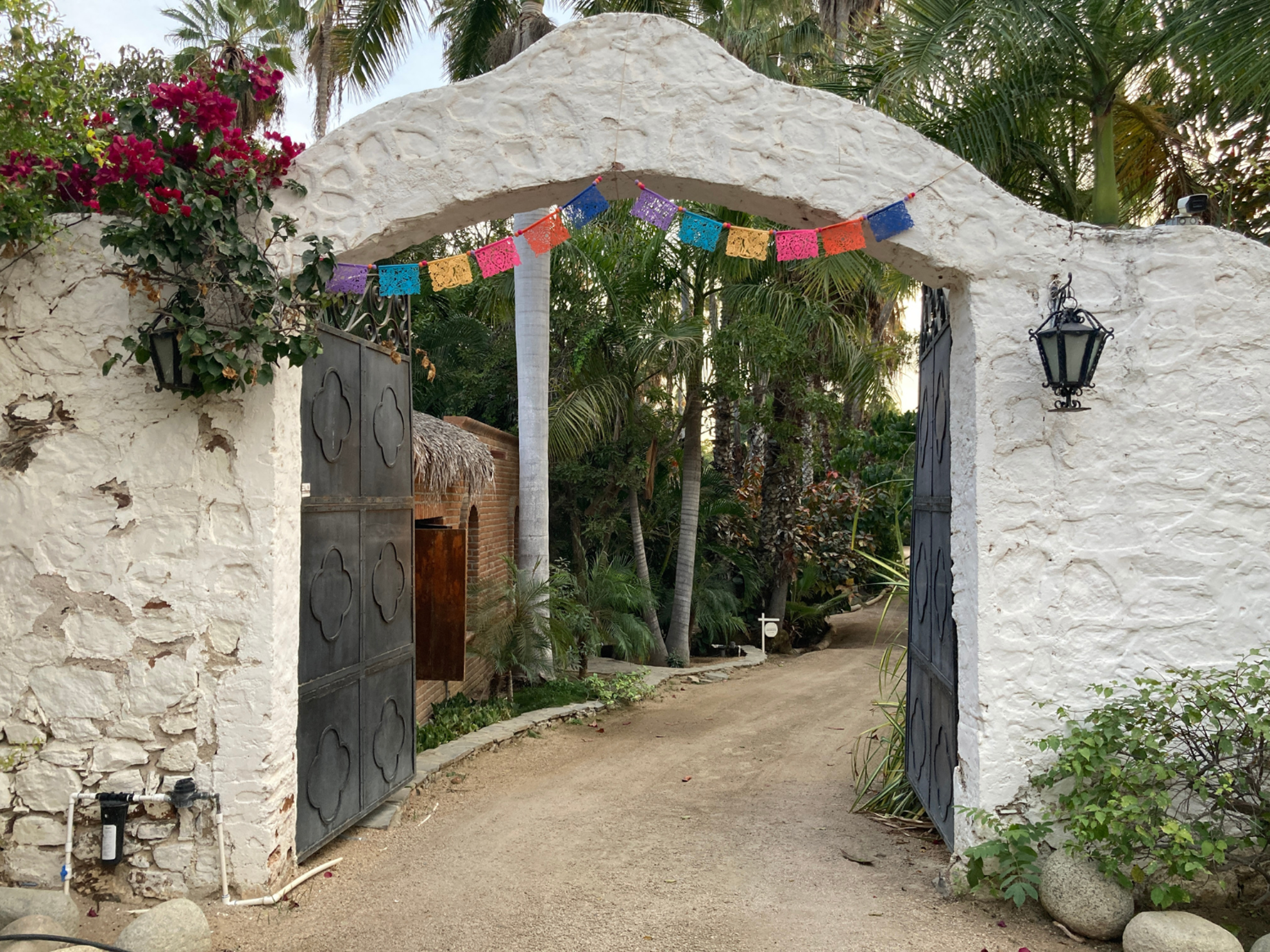 Picture of Baja Unplugged: An Island Escape on the Sea of Cortez