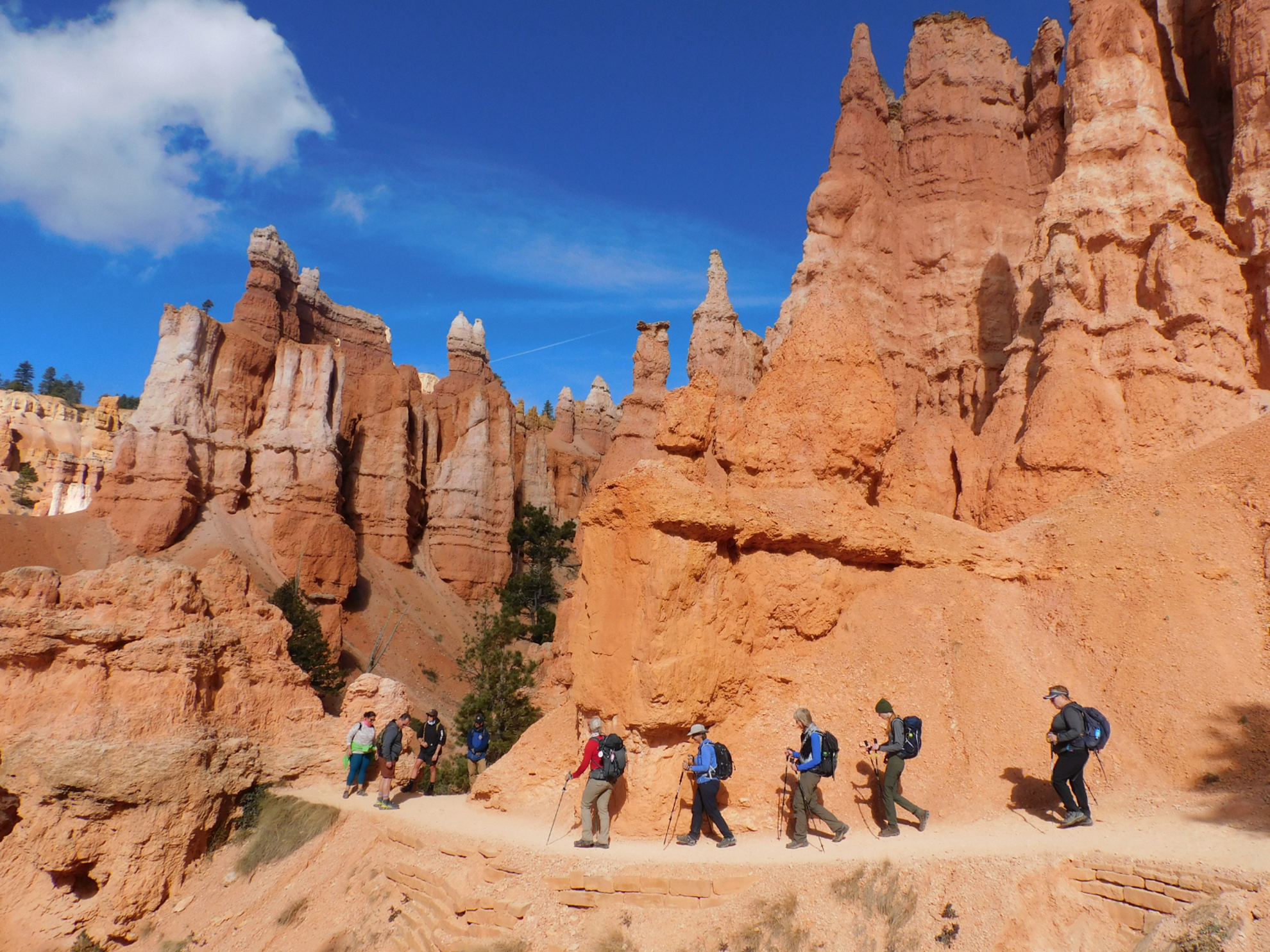 Picture of Hiking Bryce and Zion National Parks Picture of Hiking Bryce and Zion National Parks