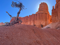 Picture of Hiking Bryce and Zion National Parks Picture of Hiking Bryce and Zion National Parks