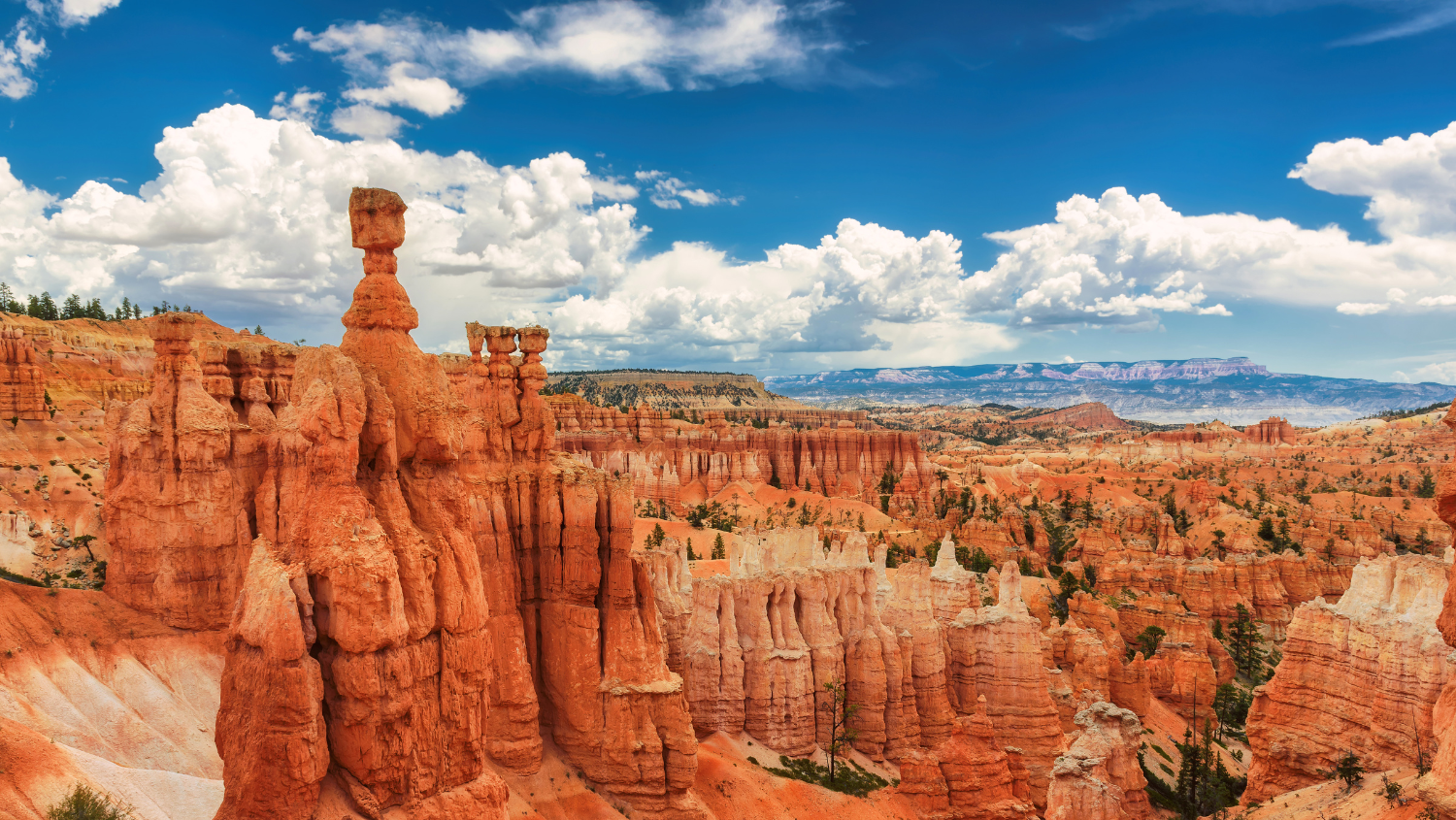 Hiking Bryce and Zion National Parks