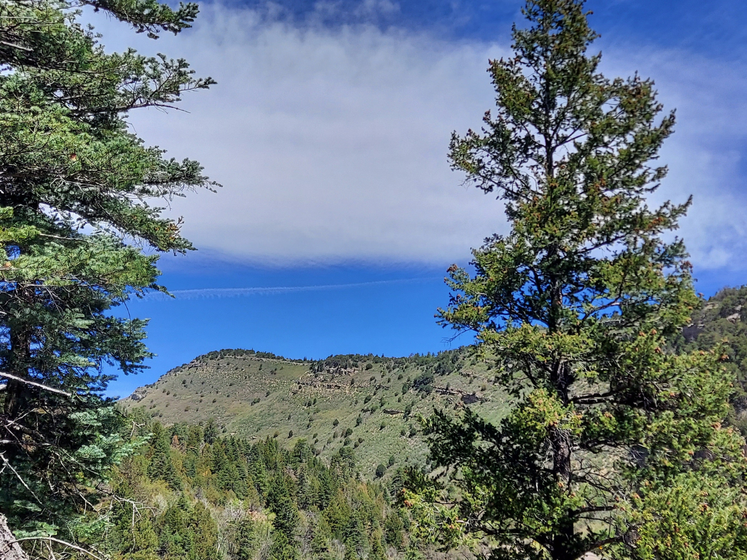 Picture of Exploring New Mexico - Land of Enchantment