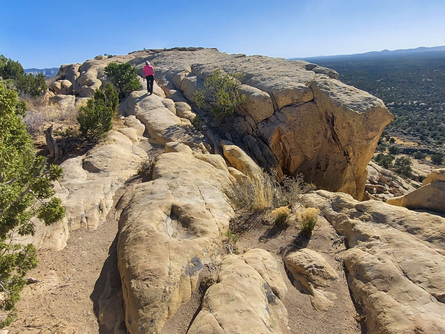 Picture of Exploring New Mexico - Land of Enchantment