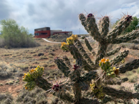 Picture of Exploring New Mexico - Land of Enchantment Picture of Exploring New Mexico - Land of Enchantment