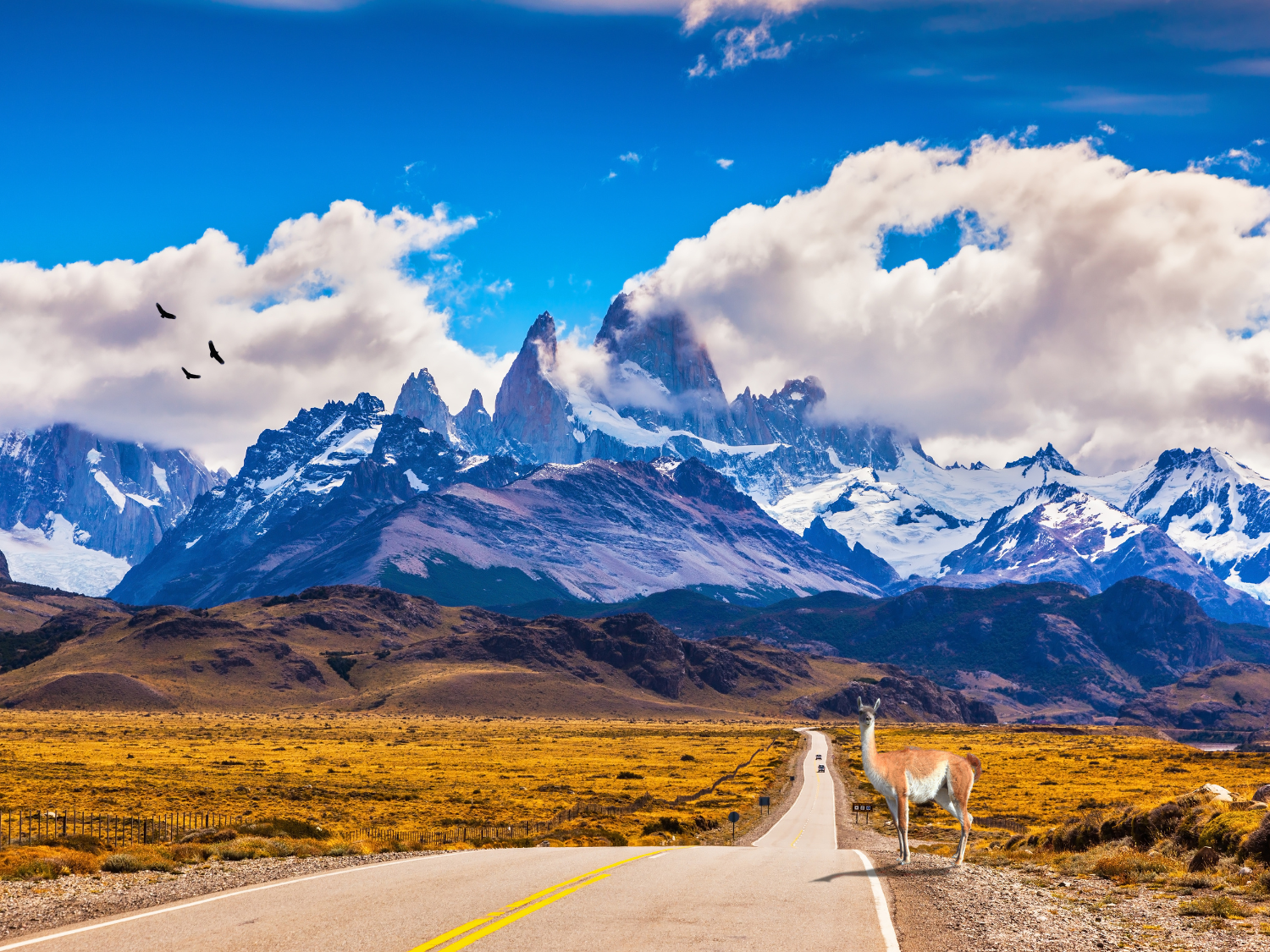 Andes
