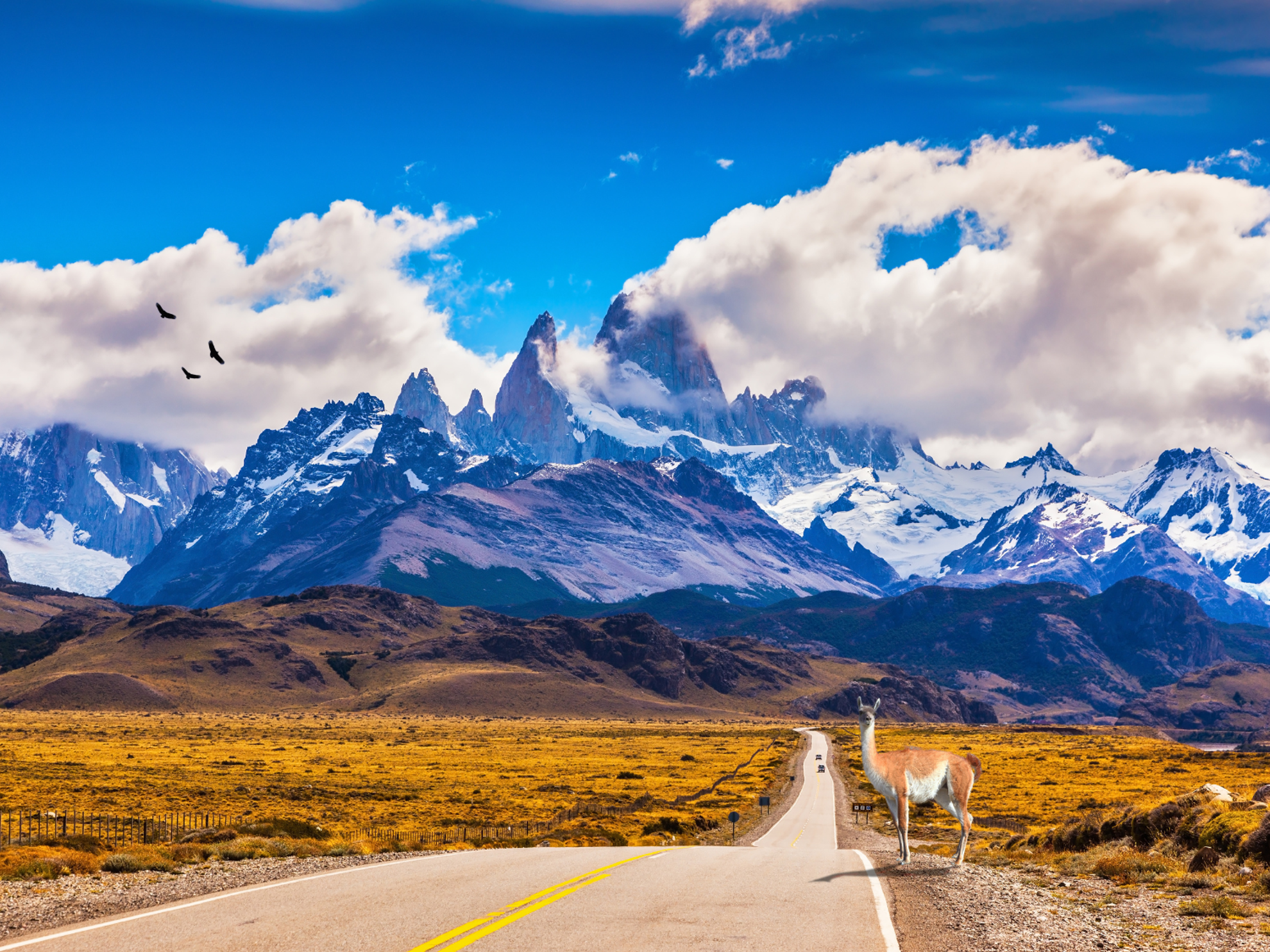 Andes Andes